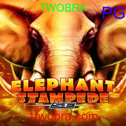ElephantStampedeSE